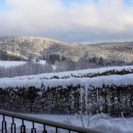 Apartamento Schwarzwaldhaus Kathi