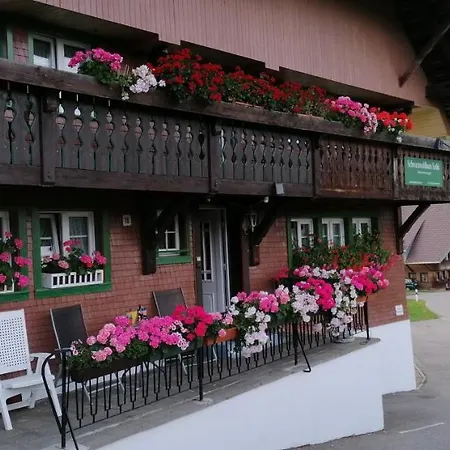 Schwarzwaldhaus Kathi Apartment