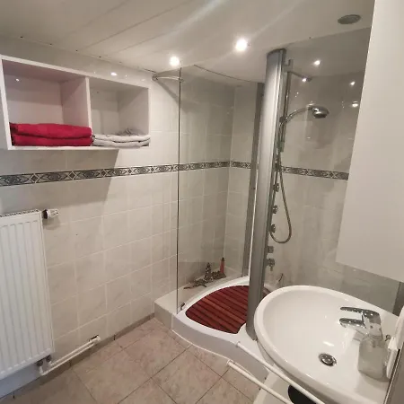 Apartamento Schwarzwaldhaus Kathi