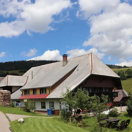Schwarzwaldhaus Kathi Todtmoos