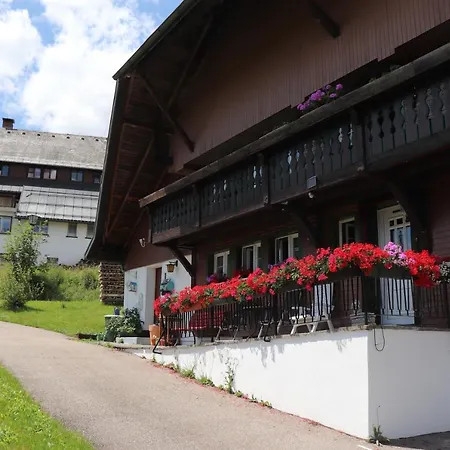 Apartamento Schwarzwaldhaus Kathi *