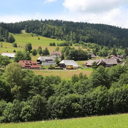 Apartamento Schwarzwaldhaus Kathi Todtmoos