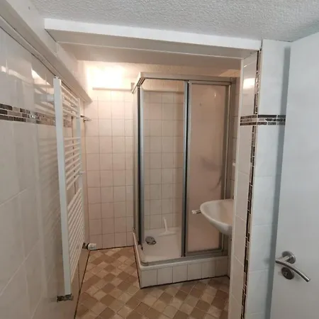 Apartment Schwarzwaldhaus Kathi Todtmoos
