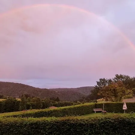 Schwarzwaldhaus Kathi *