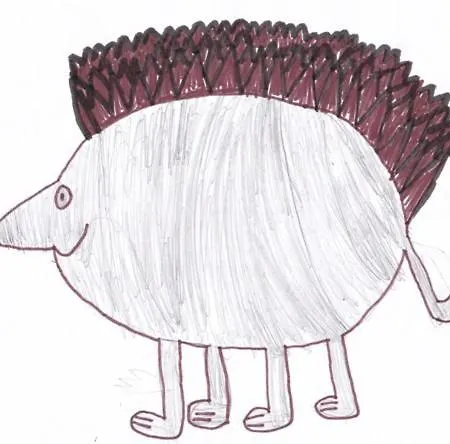 Schwarzwaldhaus Kathi Apartamento *