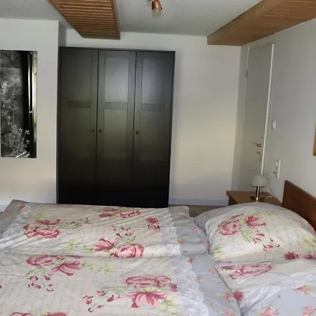 Schwarzwaldhaus Kathi Apartment