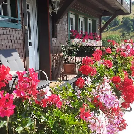 Schwarzwaldhaus Kathi تودموس