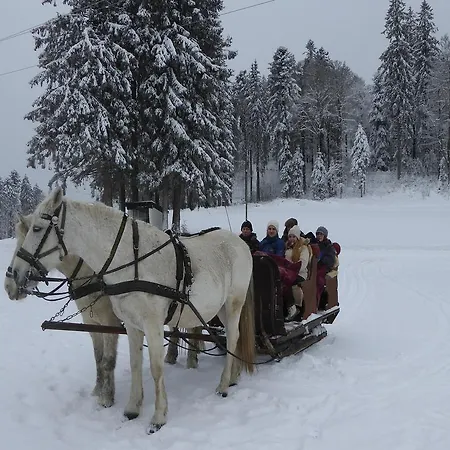 شقة Schwarzwaldhaus Kathi تودموس