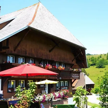 شقة Schwarzwaldhaus Kathi تودموس