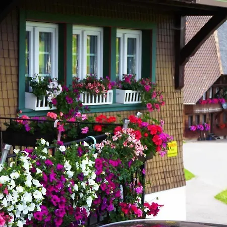 Apartamento Schwarzwaldhaus Kathi *