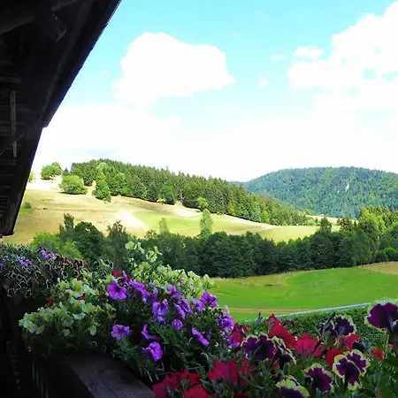 Schwarzwaldhaus Kathi Apartamento