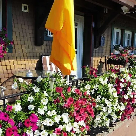 Schwarzwaldhaus Kathi شقة *