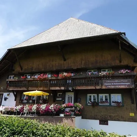 Schwarzwaldhaus Kathi شقة تودموس