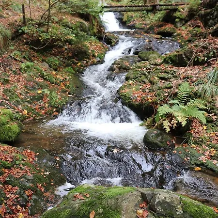 Schwarzwaldhaus Kathi *