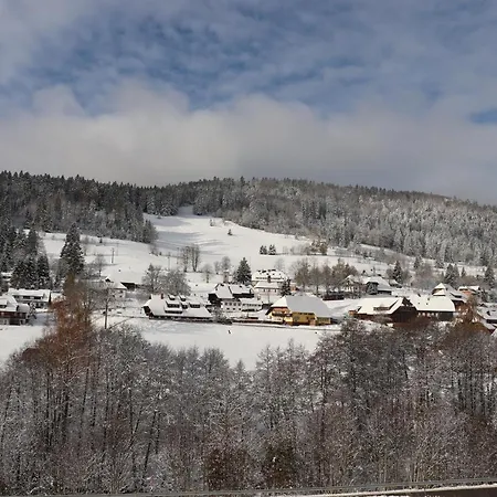 Apartamento Schwarzwaldhaus Kathi *