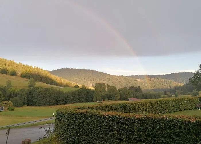 Lägenhet Schwarzwaldhaus Kathi Todtmoos