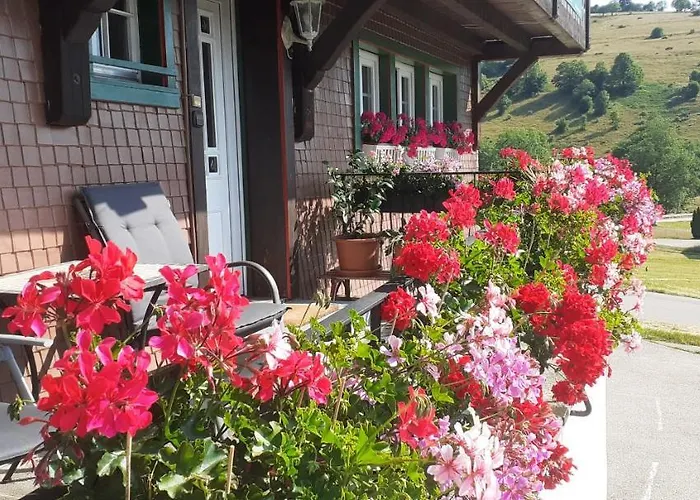 Schwarzwaldhaus Kathi Todtmoos